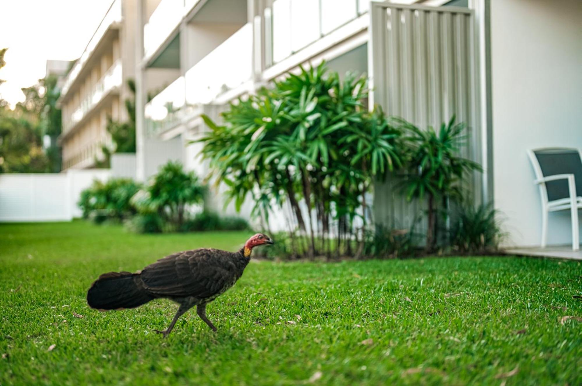 Aparthotel Jacaranda Noosa Zewnętrze zdjęcie